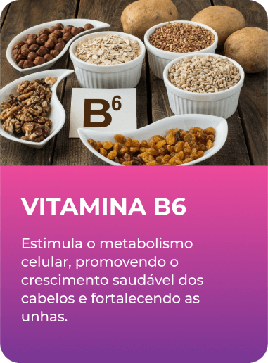 B6 (1)